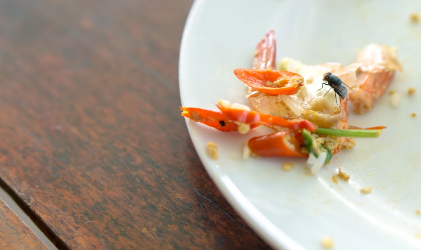 Top Pest Problems Affecting Killeen Businesses (And How to Prevent Them)